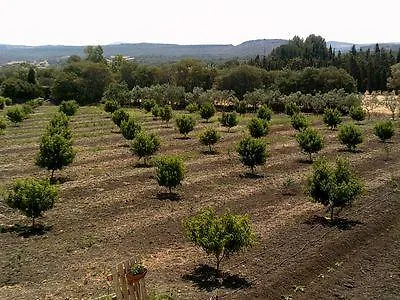 La Casa Di Giovanni E Angela-2