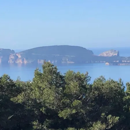 Lu Palau De Antoni-2